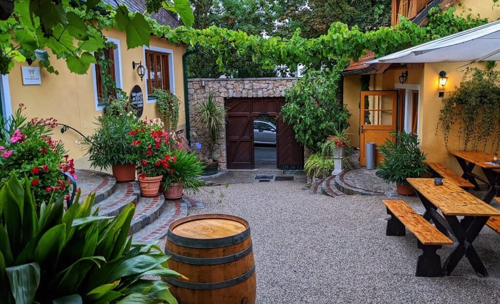 Heurigen Edlmoser, wien im winter, die besten heurigen in wien