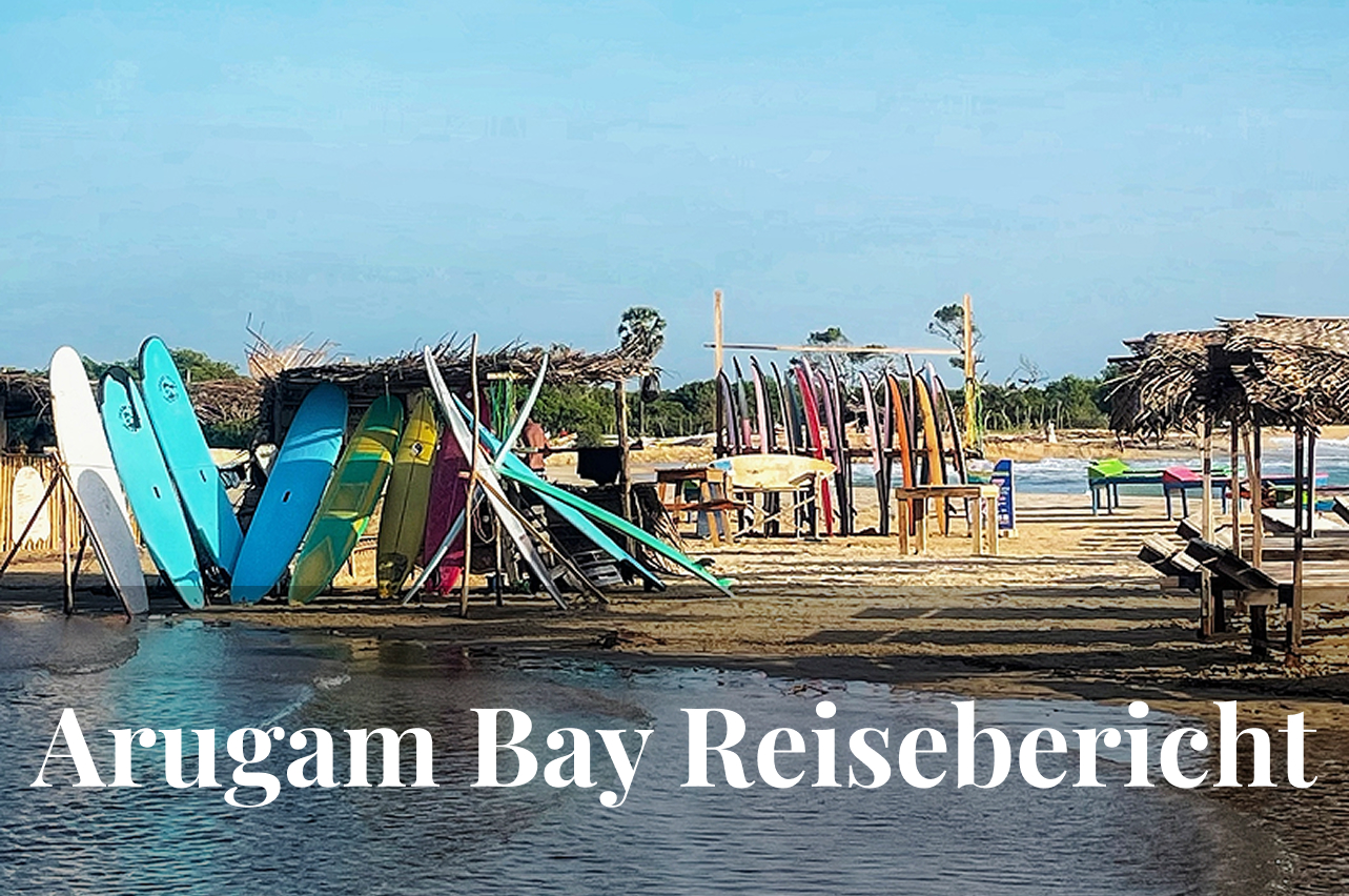 Reisebericht Arugam Bay: Sonne, Safari & schräger Surflehrer