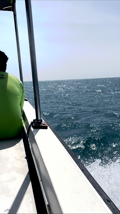 tauchen trincomalee, reisebericht trincomalee