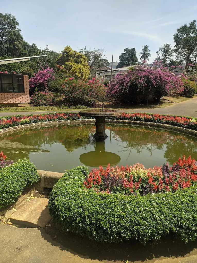 kandy botanical garden, reisebericht Kandy