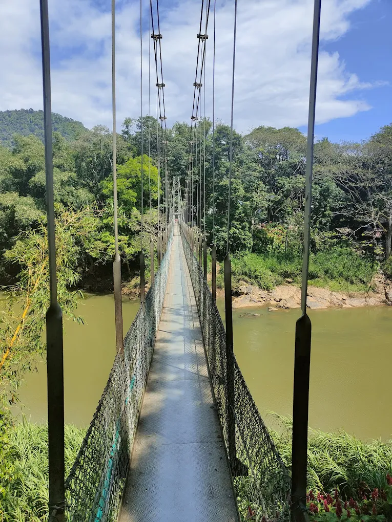 kandy botanical garden, reisebericht Kandy
