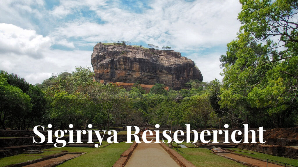 Der berühmte Lion Rock & ein Tattoo: Mein Reisebericht über Sigiriya