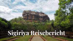 Der berühmte Lion Rock & ein Tattoo: Mein Reisebericht über Sigiriya