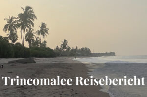 Reisebericht Trincomalee: Strand, Smoothie-Bowls & mit der GoPro im Meer