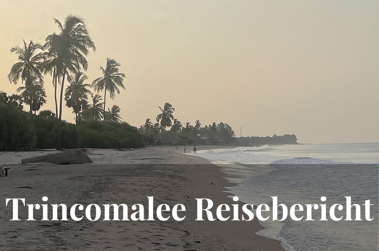 Reisebericht Trincomalee: Strand, Smoothie-Bowls & mit der GoPro im Meer
