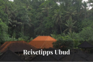 Von Reisfeldern bis Yoga: Meine liebsten Reisetipps für 3 Tage in Ubud