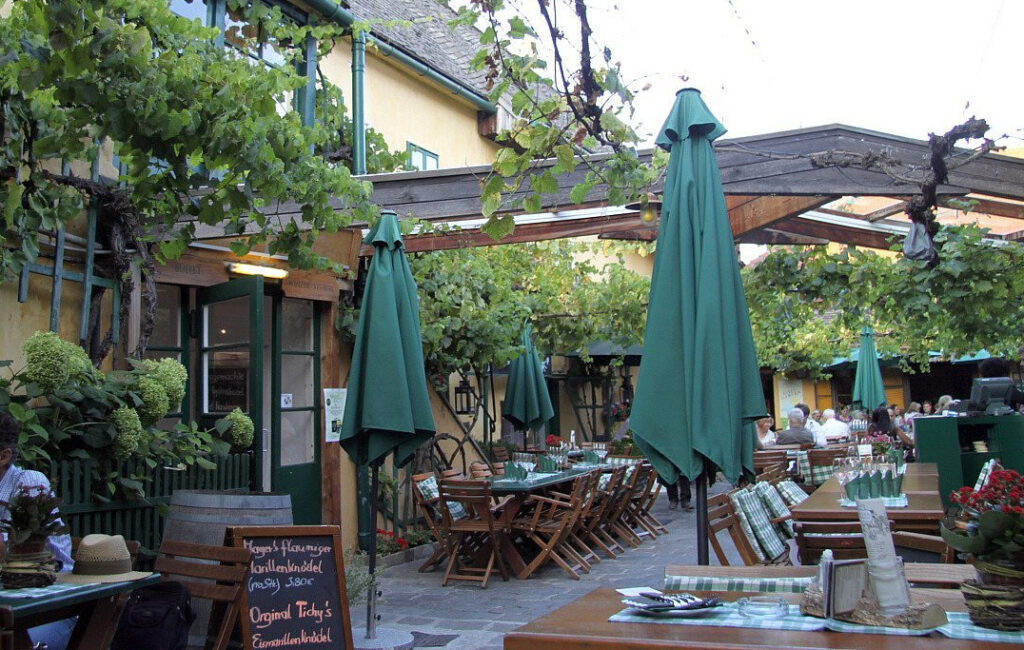 Mayer am Pfarrplatz, die besten heurigen in wien