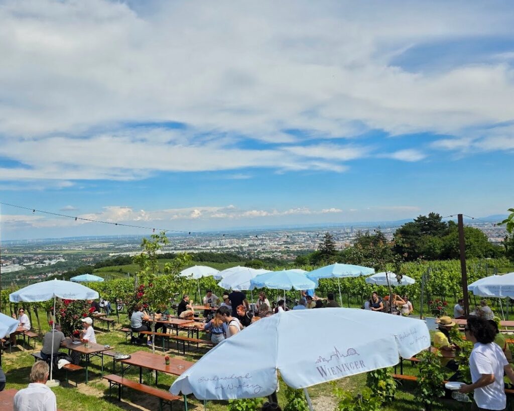 wieninger am nussberg, die besten heurigen in wien