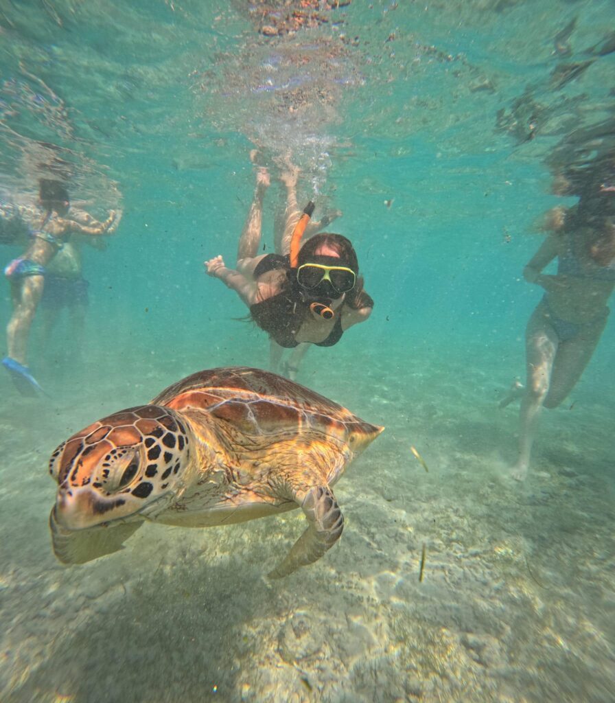 schnorcheln gili inseln, Tipps für 9 Tage auf den Gili Inseln