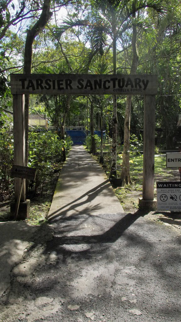 philippine tarsier sanctuary, bohol beste aktivitäten & Erlebnisse