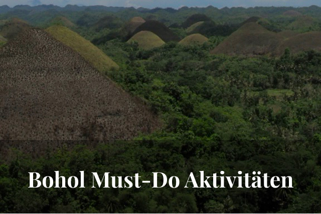 Bohol Bucket List: 8 Must-Do Erlebnisse auf der Insel