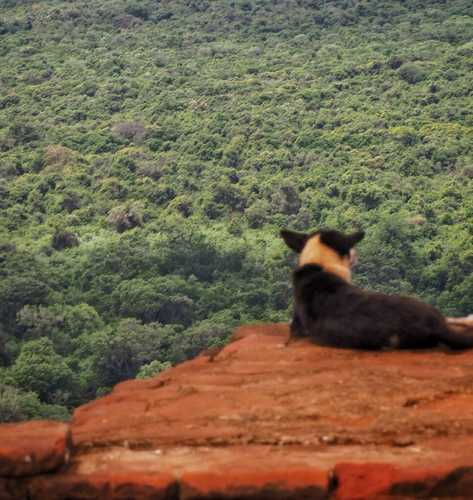 sigiriya lion rock, sri lanka reiseroute, hochsensibel reisen Sri Lanka