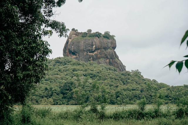 lion rock sigiriya, erfahrungsbericht sigiriya
