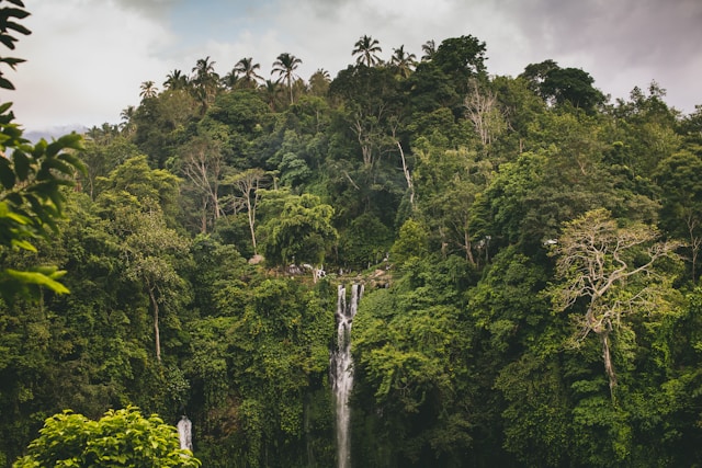 bali wasserfall, reisetipps indonesien