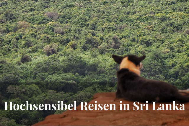 Welche Erfahrungen habe ich als Hochsensible in Sri Lanka gemacht?