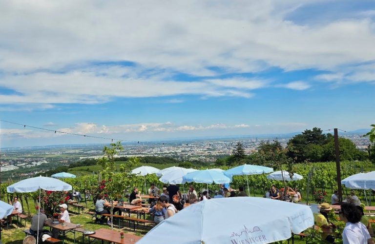 wieninger am nussberg, die besten heurigen in wien